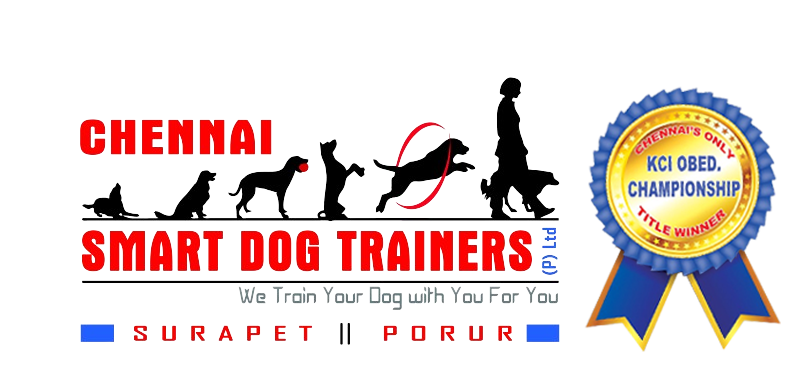 Chennai Smart Dog Trainers Pvt Ltd